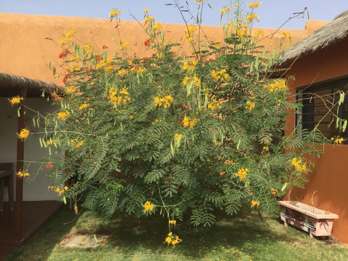 Terra Lodge Senegal M'Bour Exterior foto